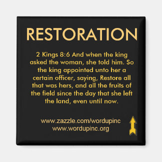 Wiederherstellungsfläche Magnet