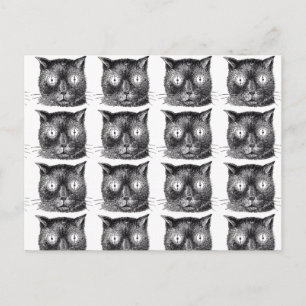 Wiederholte schwarze und weiße Katze Postkarte - S