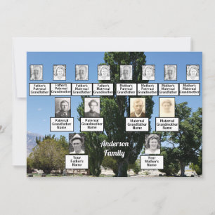 Wiedersehen 3 Generation Foto der Baumreihe Einladung