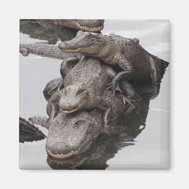 Wiedersehen Magnet (Vorne)