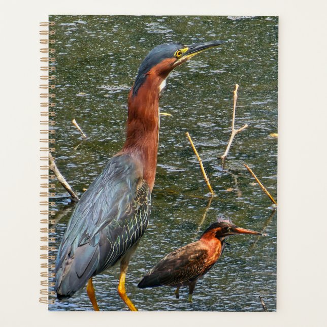 Wiederverwendbare Einkaufstasche Green Heron Planer (Vorderseite)