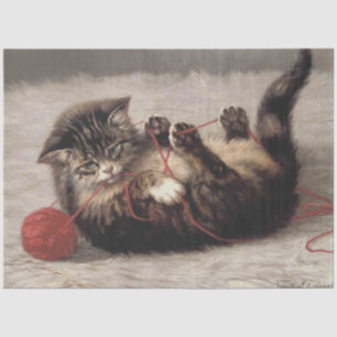 Wiegenlied der Katze, Eine Katze spielt mit einem  Seidenpapier