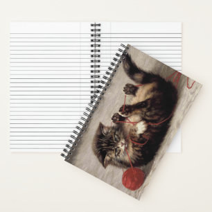 Wiegenlied der Katze, Kätzchen spielt mit Garn als Notizbuch