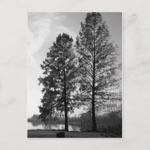 Wien Maryland Postkarte