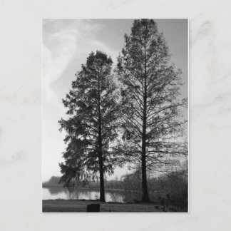 Wien Maryland Postkarte