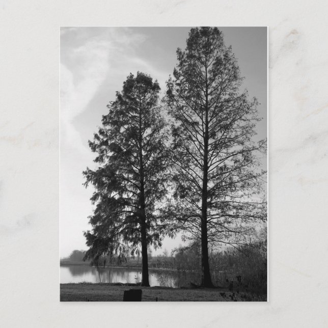 Wien Maryland Postkarte (Vorderseite)