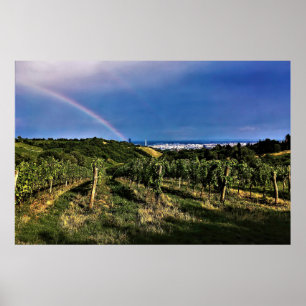 Wiener Weingarten Rainbow Poster