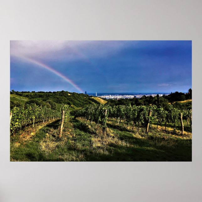 Wiener Weingarten Rainbow Poster (Vorne)