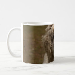 WIENNA WIEN ÖSTERREICH AUSTRIA ALPAKA LAMA ANIMAL KAFFEETASSE
