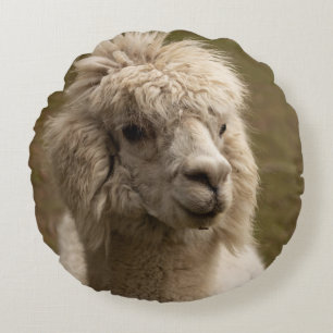 WIENNA WIEN ÖSTERREICH AUSTRIA ALPAKA LAMA ANIMAL RUNDES KISSEN