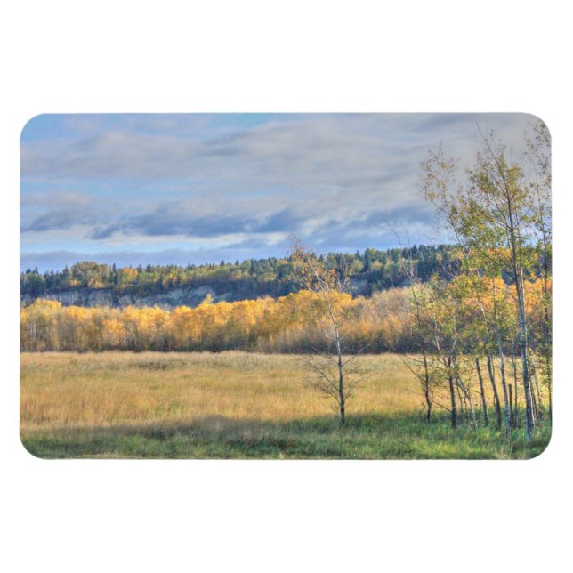 Wiese mit Aspens Magnet (Horizontal)