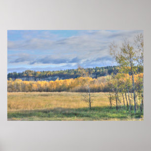 Wiese mit Aspens Poster