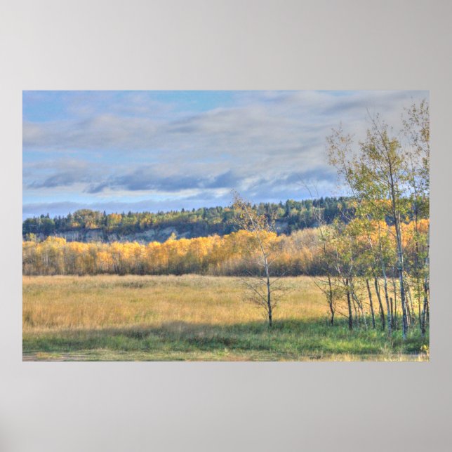 Wiese mit Aspens Poster (Vorne)