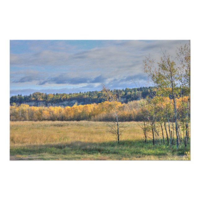 Wiese mit Aspens Poster (Vorderseite)