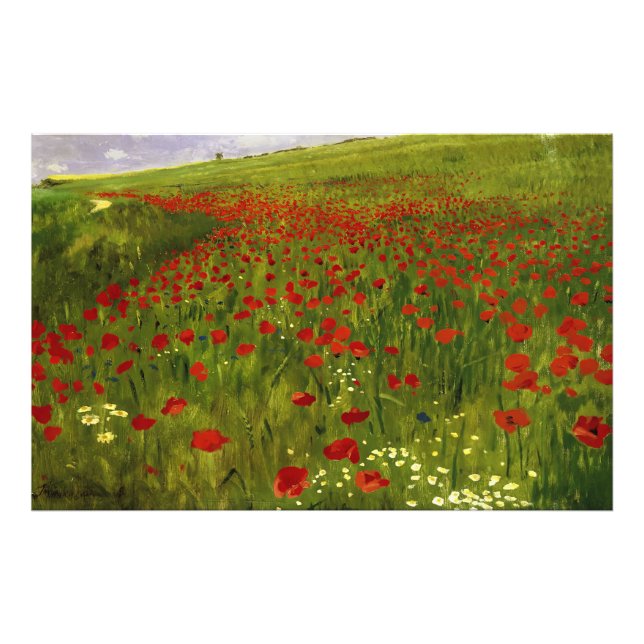 Wiese mit Poppies (1896) Merse Pál Szinyei Fotodruck (Vorne)