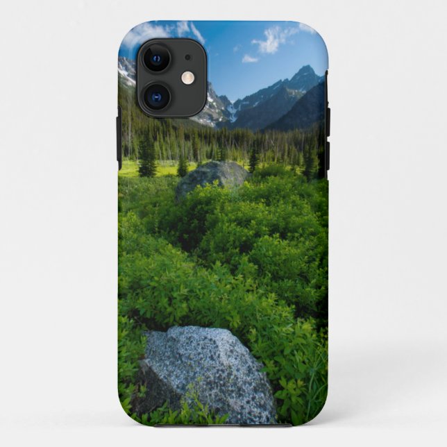 Wiese und Mt. Stuart Case-Mate iPhone Hülle (Rückseite)