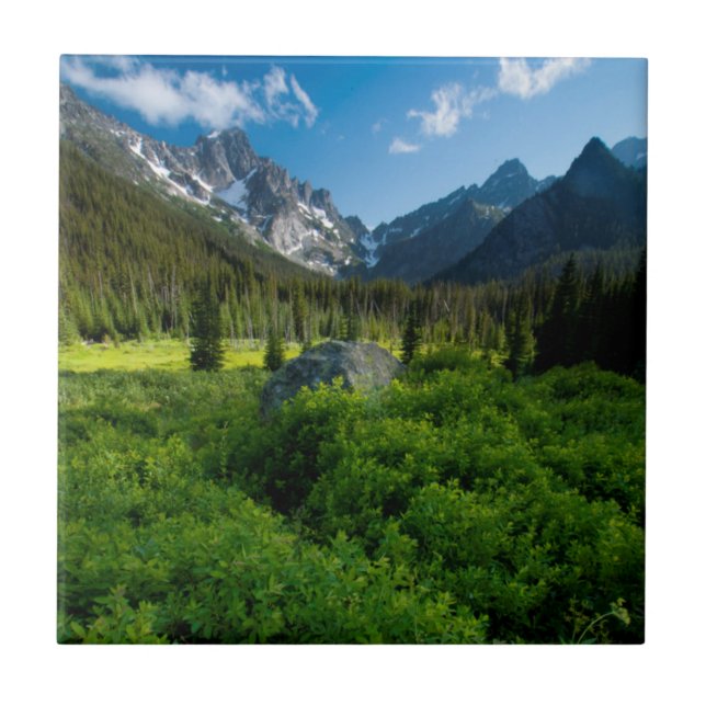 Wiese und Mt. Stuart Fliese (Vorderseite)