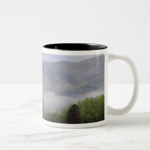 Wiese und Riesengebirge, Höhlenbucht, Zweifarbige Tasse