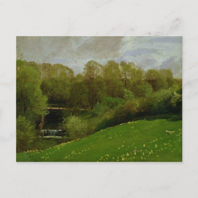 Wiese und Wald, 1895 Postkarte (Vorderseite)