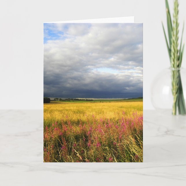 Wiese wild lebender Blume Karte (Vorderseite)