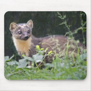 Wiesen-Marder Mousemat Mousepad