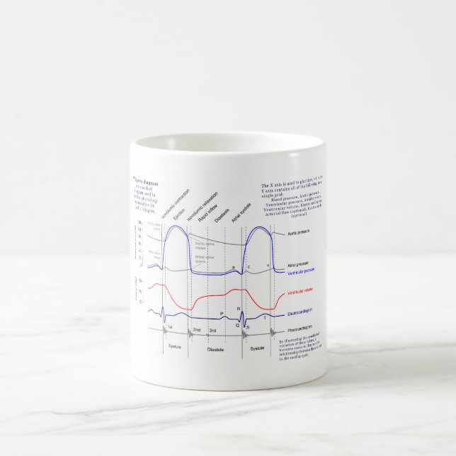 Wiggers Diagramm Kaffeetasse (Mittel)