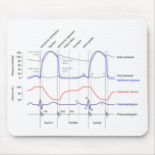 Wiggers Diagramm Kardiakzyklische Ereignisse verla Mousepad