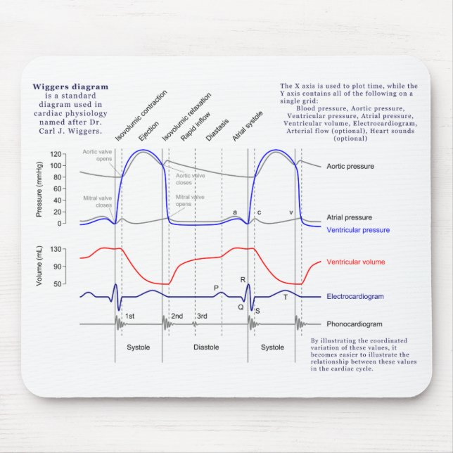 Wiggers Diagramm Mousepad (Vorne)