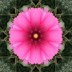 Wigglin'..... Notizbuch