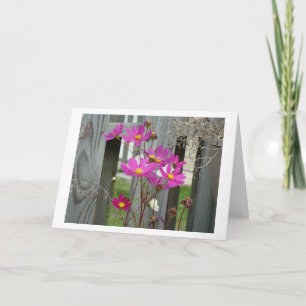 Wilblumen & Patio Fence, Freund Karte