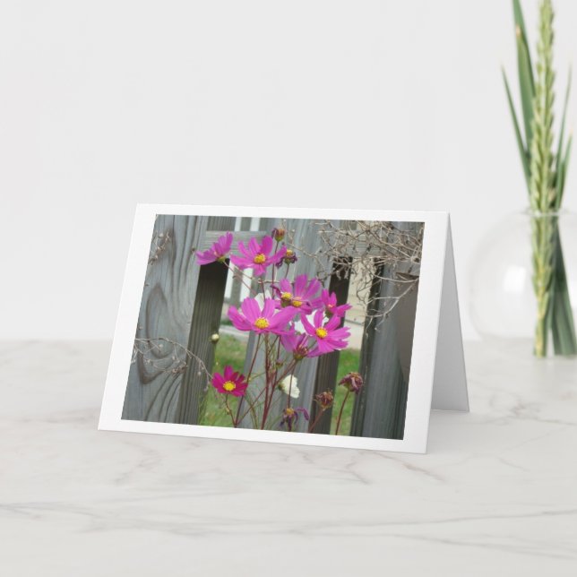 Wilblumen & Patio Fence, Freund Karte (Vorderseite)