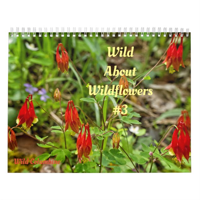 Wild-Abourt-Wildblumen #3-Kalender Kalender (Titelbild)