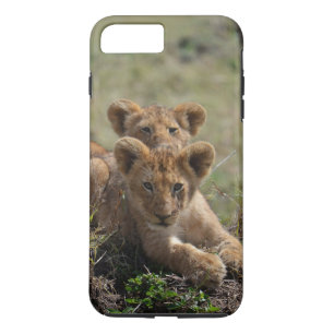 Wild African Lion Cubs iPhone 7 Plus Fall Case-Mate iPhone Hülle
