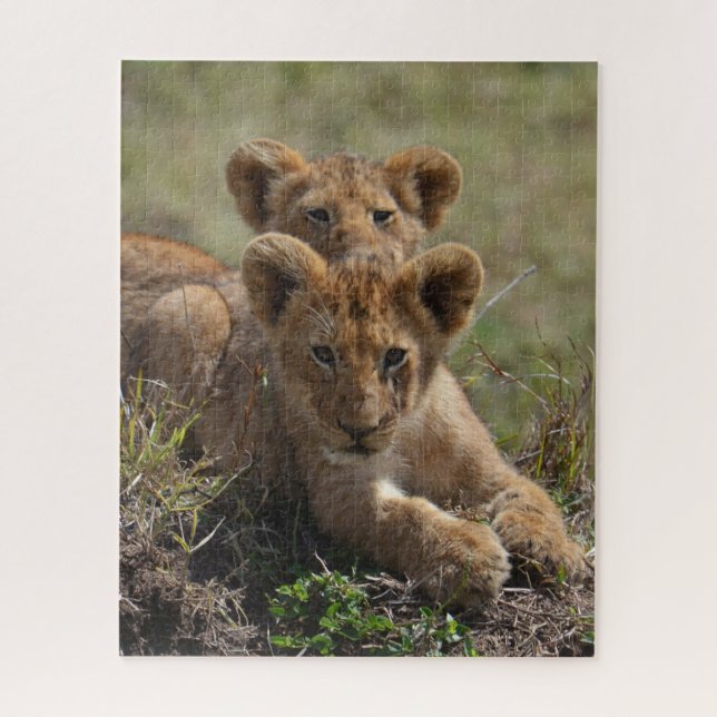 Wild-African Lion Cubs Puzzle (Vertikal)