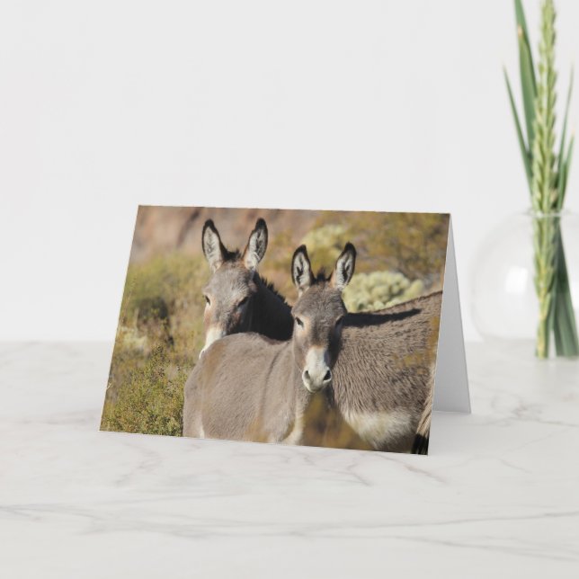 Wild Arizona Burros Karte (Vorderseite)