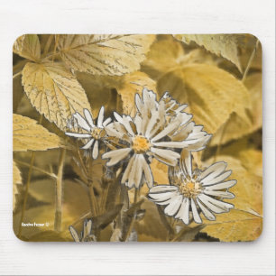 Wild Aster Mouse Pad Mousepad