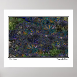 Wild Asters Poster