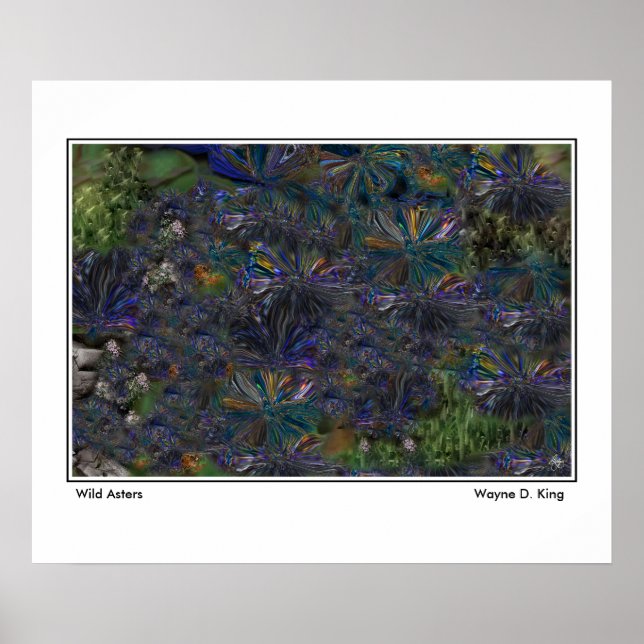 Wild Asters Poster (Vorne)