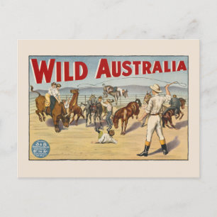 Wild Australia Vintage Poster 1910 Postkarte