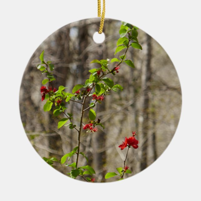 Wild Azalea Bush at Smoky Mountains Keramik Ornament (Vorne)