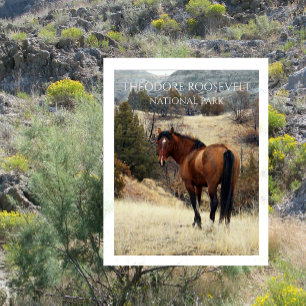 Wild Bay Horse. Theodore Roosevelt Nationalpark Postkarte
