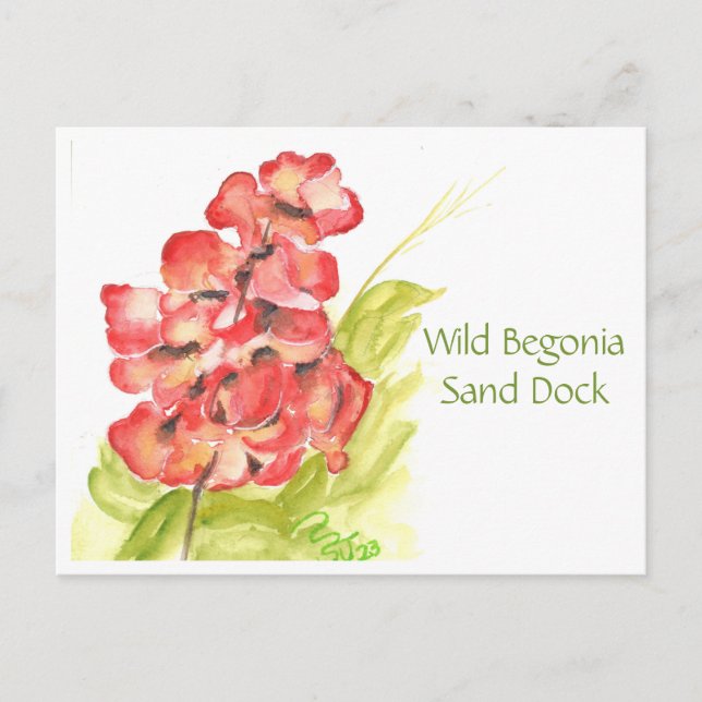 Wild Begonia Post Card Postkarte (Vorderseite)
