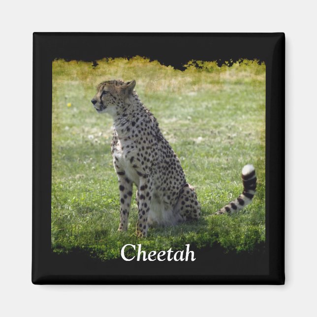 Wild Big Cats Tierliebhaber Design Magnet (Vorne)