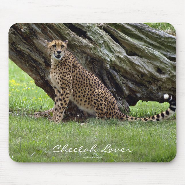 Wild Big Cats Tierliebhaber Design Mousepad (Vorne)