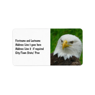 Wild Bird Fotografy - American Bald Eagle Adressaufkleber
