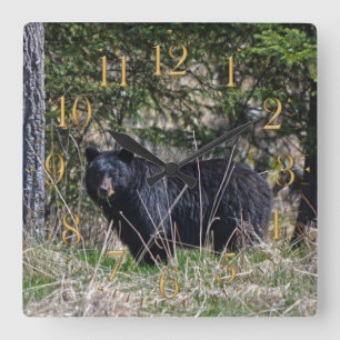 Wild Black Bear & Forest Wildlife Photo Wall Clock Quadratische Wanduhr