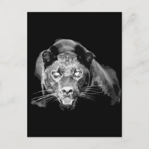 Wild Black Jaguar Cat Eyes Postcard Postkarte