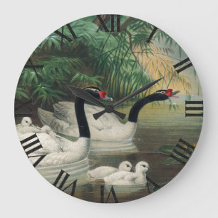 Wild Black Necked Swan Familie Vintage Kunst Große Wanduhr