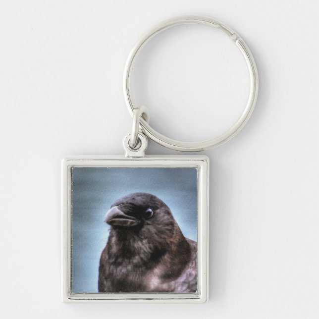 Wild Black Raven Crow-Liebhaber #Gift Schlüsselanhänger (Vorne)