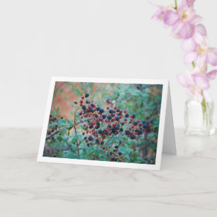 Wild BlackBerry Fruit Karte